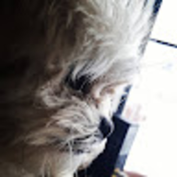 Meet your Posher, Blue - Picture 1 of 1